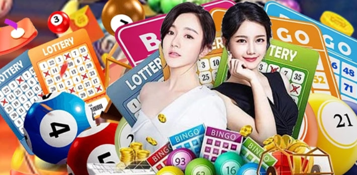 qq66