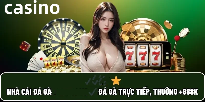 qq66