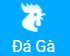 qq66